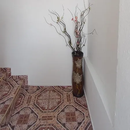 Casa Branca بيت شباب *